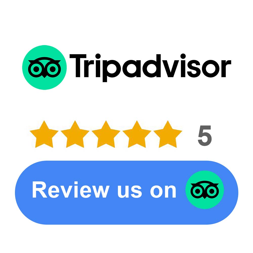 trip advisor logo